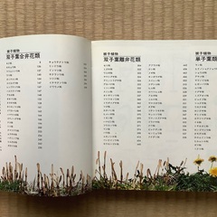 日本の野草 (山渓カラー名鑑)の画像