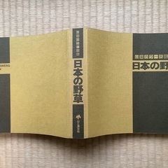 日本の野草 (山渓カラー名鑑)の画像