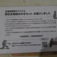 絵ハガキ(1枚入り)の画像