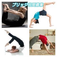 柔軟・ブリッジ仲間募集 経験は問いません