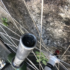 メリダ　自家塗装　ジャンク　ヘッドパーツ有りません　の画像