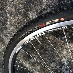 メリダ　自家塗装　ジャンク　ヘッドパーツ有りません　の画像