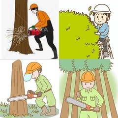 木の抜根　見積もりよろしくお願い申し上げます。