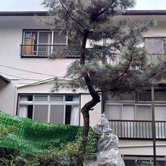 高齢者の方、２階を借りて下さい。伊東市の別荘地の静かな環境です。光熱費等全込みで12000円 - 伊東市