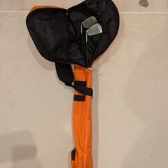 練習用バッグ＋アイアン2本
