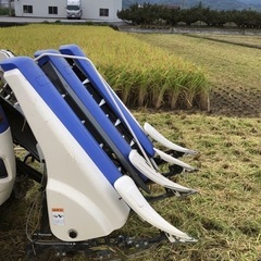 令和六年度紀の川市産ヒノヒカリ新米30キロ