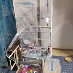 インコケージセット