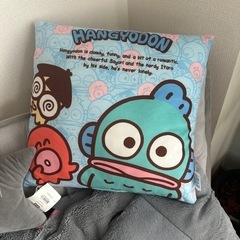 ハンギョドン