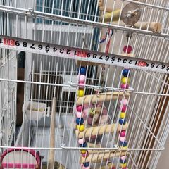 インコケージセットの画像