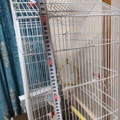 インコケージセットの画像