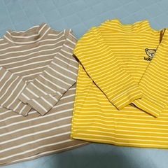 サイズ100の画像