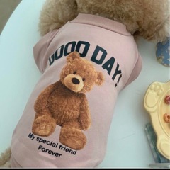 新品　犬服 ドッグウェア スウェット 秋冬 テディベア 熊柄 Mサイズ ピンクの画像