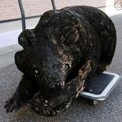 ■北海道民芸品・アイヌ民族の木彫り・熊・置物（100cm級）■