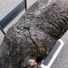 ■北海道民芸品・アイヌ民族の木彫り・熊・置物（100cm級）■の画像