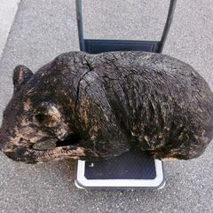 ■北海道民芸品・アイヌ民族の木彫り・熊・置物（100cm級）■の画像