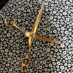 美容師　ハサミ　右利き用の画像