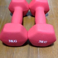 ダンベル3kg