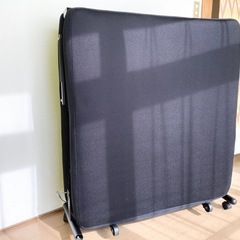 折り畳みベッド シングル メッシュ ロータイプ