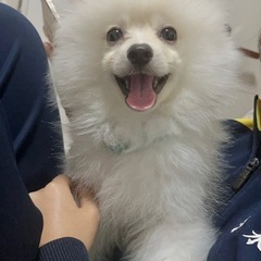 犬連れて一緒にカフェ行ける友達がほしい！