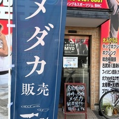 メダカの育て方お教えいたします。の画像