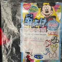 アース虫除けブレスの画像