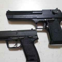 マルゼン×タニオコバ
