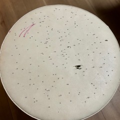 折りたたみチェア　ニトリの画像