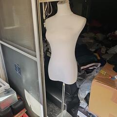 マネキン     トルソー