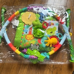 フィッシャープライスレインフォレストデラックスジムの画像