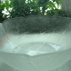 大きなガラスの葉っぱのボウルの画像