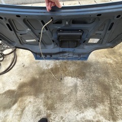 kai 青 ボンネットの画像