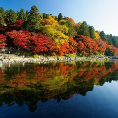 11月28日(木)に香嵐渓に紅葉を見に行きませんか❓