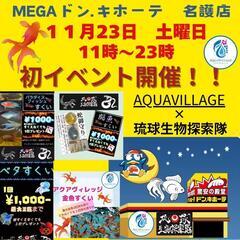 MEGAドン·キホーテ名護店(店舗前)