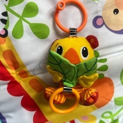 レインフォレスト指遊びミュージカルジムの画像