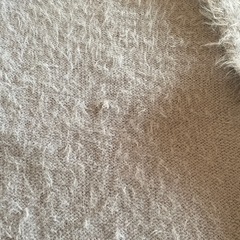 レディースロングカーディガンSの画像