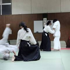 総合的な武道・合気道の画像