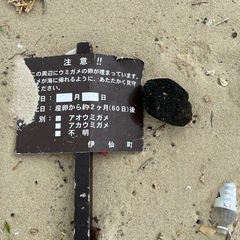 軽石