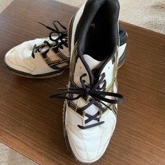 アシックス　シューズ
