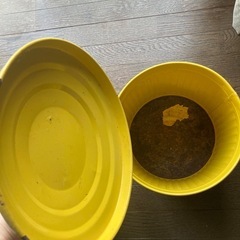 金属のバケツ
の画像