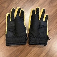 100サイズ　グローブの画像