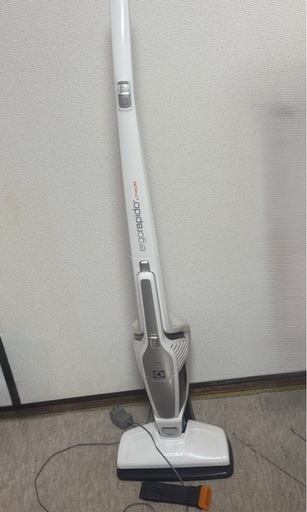 リチウムイオン電池切れ　Electrolux ZB3150Y