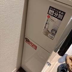 分別ダストボックスパッキンつきペダル２段スリムの画像