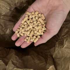 猫砂　システムトイレ用　天然木ペレット 15kg