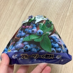 【お譲り先決定】ブルーベリーを育てている方へ🌿‬メンテナンスに！の画像