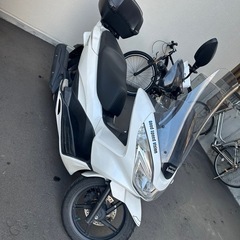 決まりました。ホンダPCX