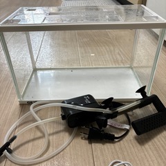 すぐに飼える🐟横31×縦18 水槽 他3点セットの画像