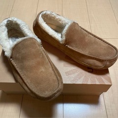 UGG ASCOT チェスナット　28.5cm