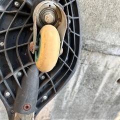 リップスティック
の画像