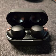 ソニー ワイヤレスノイズキャンセリングイヤホン WF-1000XM4の画像