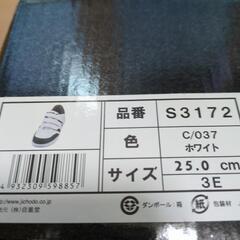 セーフティシューズの画像